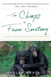 The Chimps of Fauna Sanctuary: A True Story of Resilience and Recovery